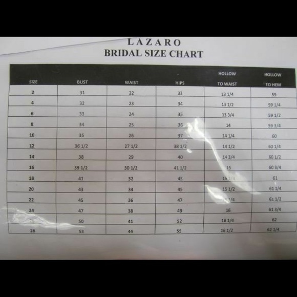 Lazaro Couture Silk Organza Bridal Gown Street Sz 6/Label 10 - Picture 12 of 12